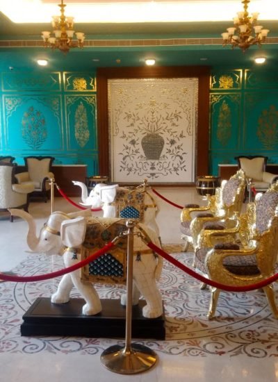 photo_6127209192566231211_y