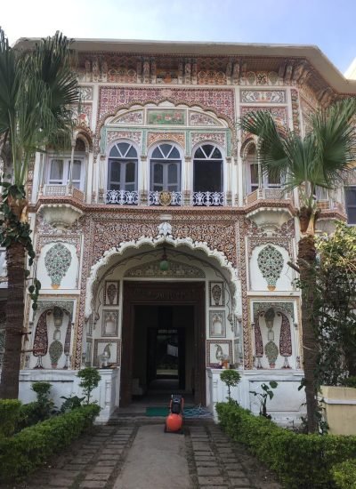 photo_6129946967929459488_y